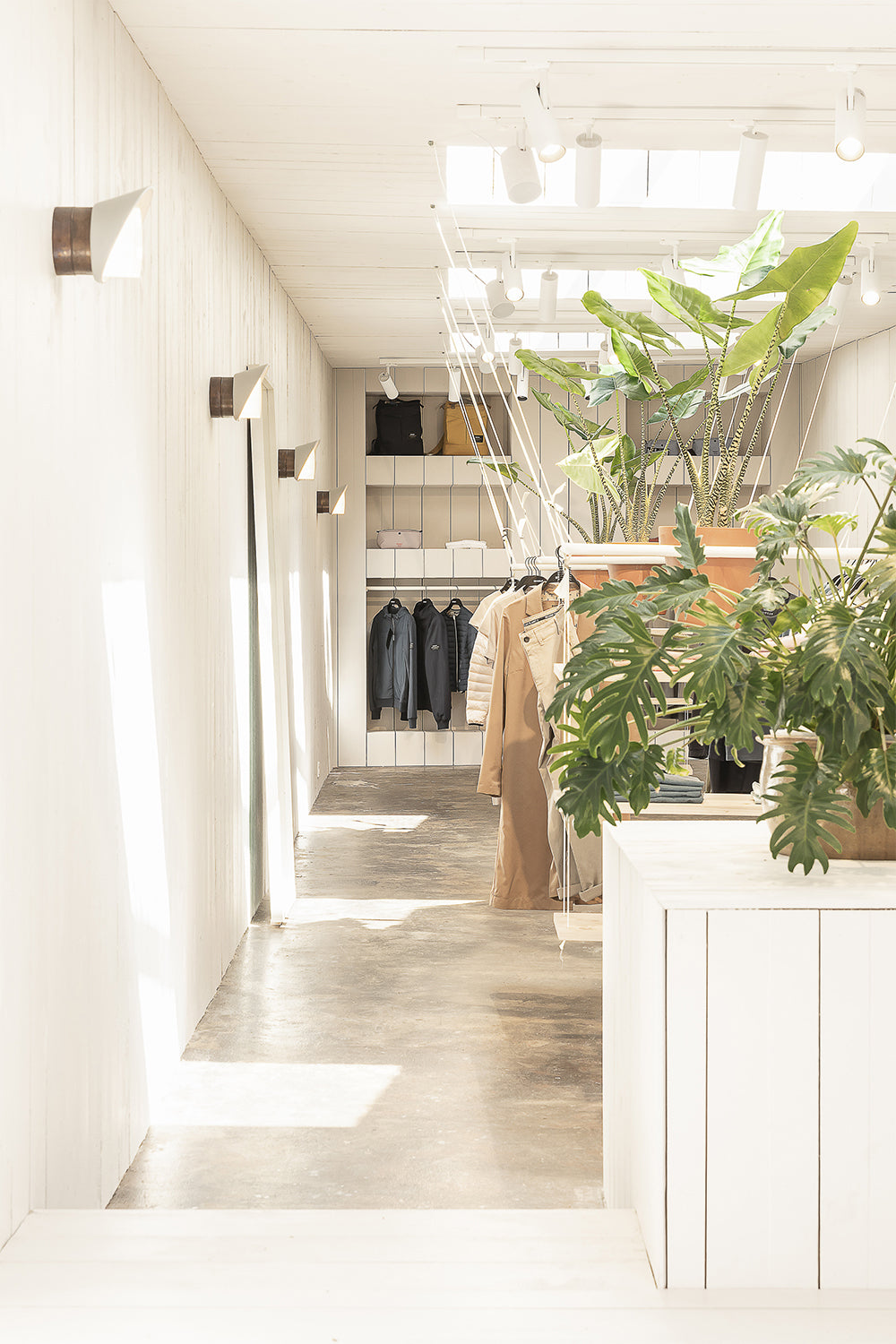 Ecoalf Flagship Store | Enter The Loft