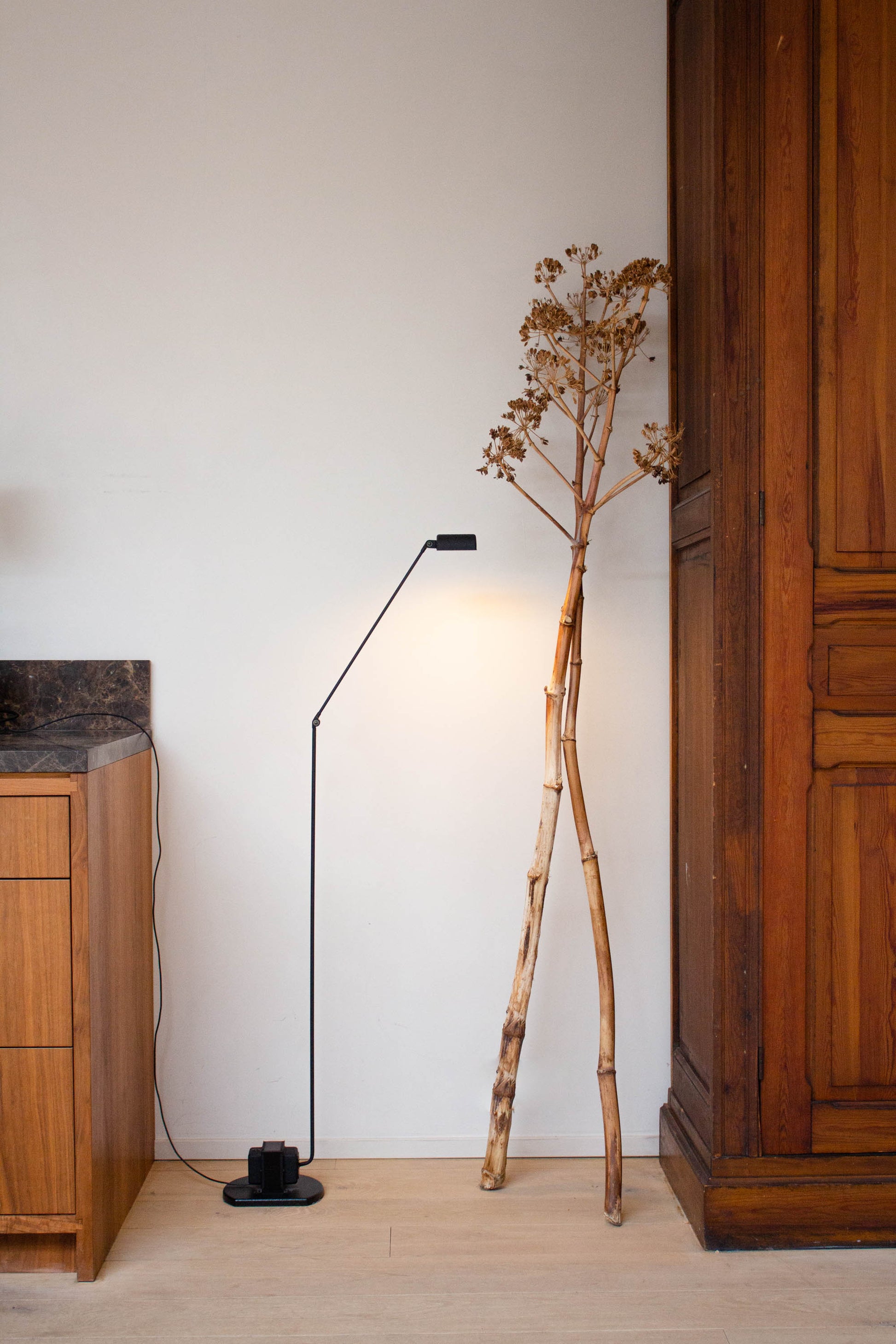 Lumina Daphine Terra Floor Lamp Classic Halogen next to cabinat