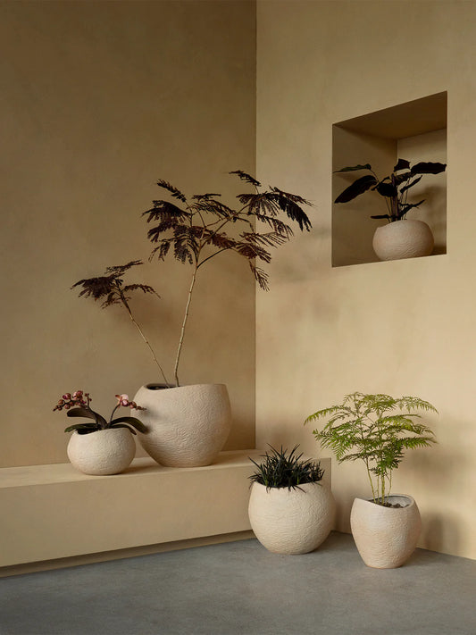 Plantas Planters by Audo Copenhagen (Menu) in all four sizes