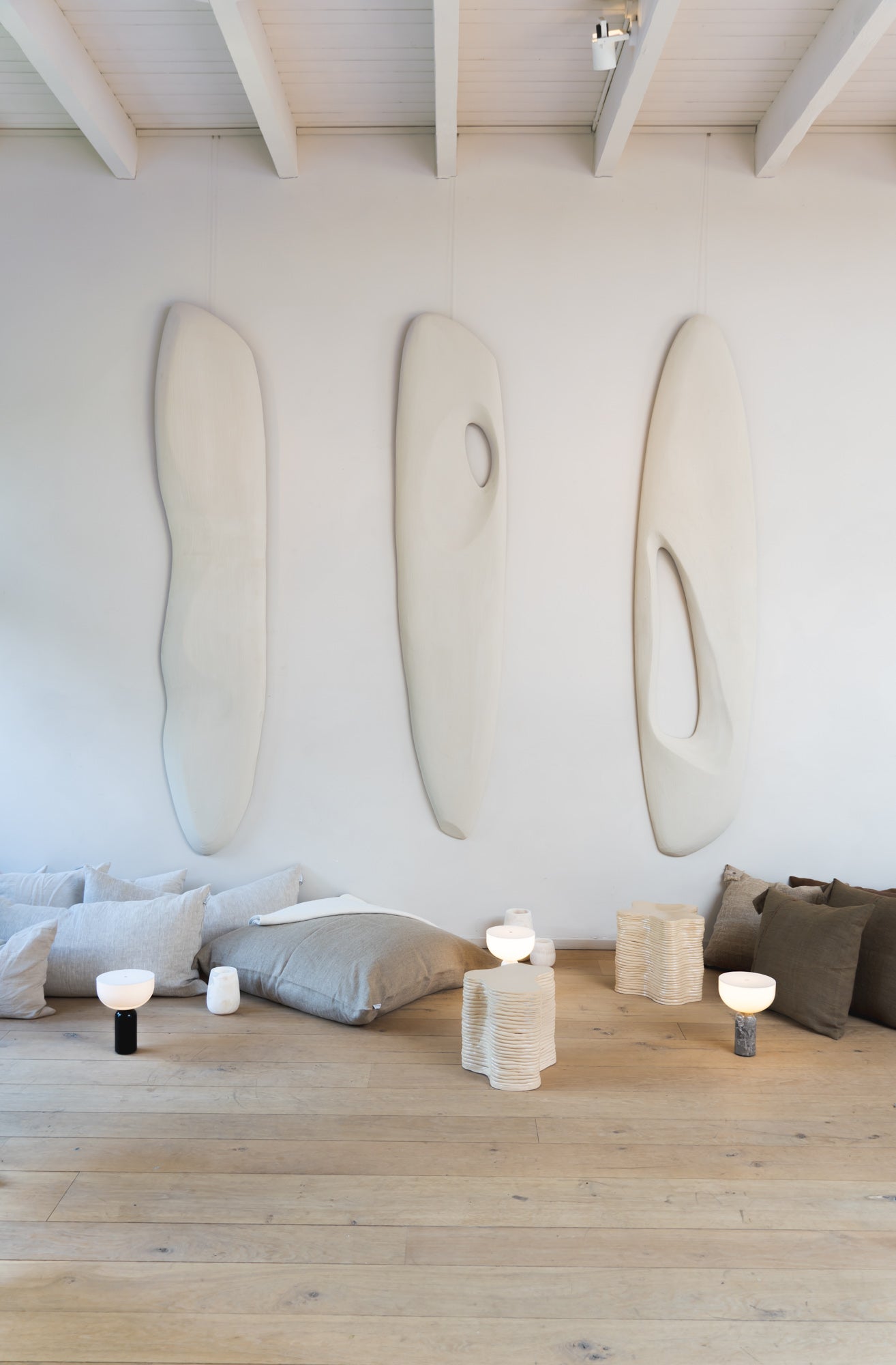 Interior with cushions and organic wall art 