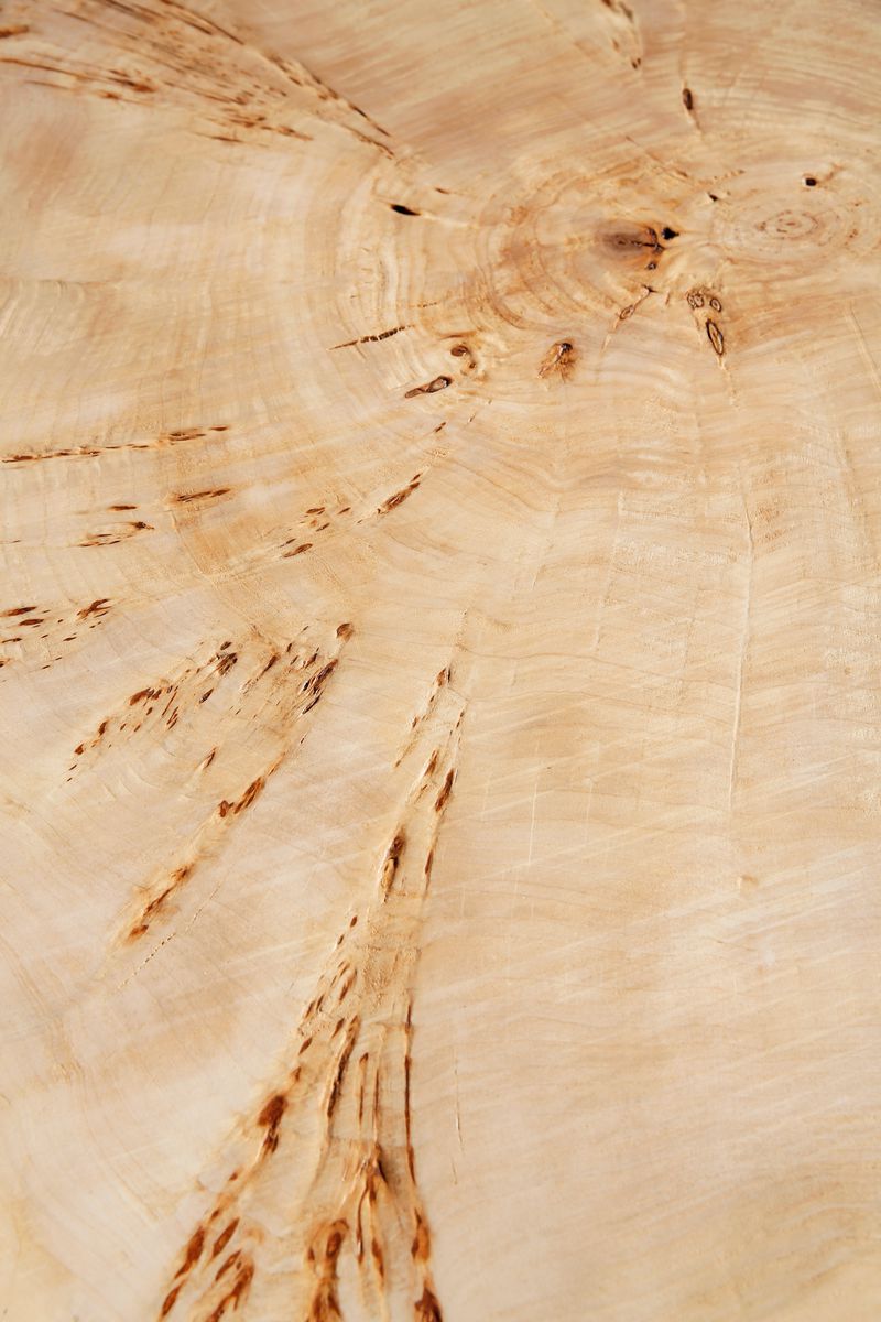Detail shot of the wood grains in the poplar tree trunk used for the Coffee Tables.