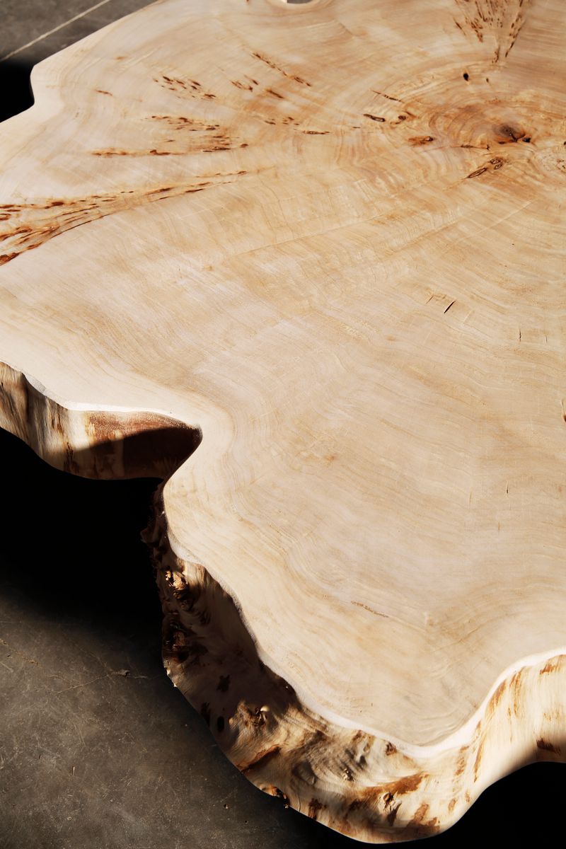 Detail shot of poplar tree trunk used for coffee table design.